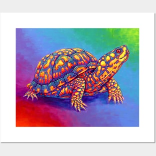 Rainbow Eastern Box Turtle Posters and Art